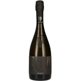 prapian Prosecco DOCG Extra Dry 0,75 l