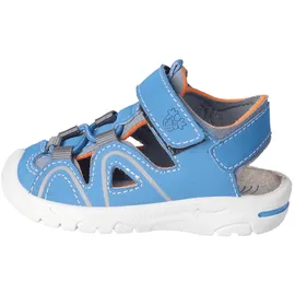 Pepino Gary Blau 24