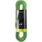 Edelrid Boa Gym 9.8 Mm Rope Grün 50 m