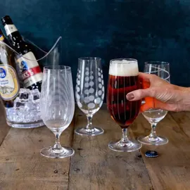 mikasa menaje Mikasa Cheers Bierglas Set 4-tlg. 0,29 l