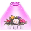 DTC GmbH Pflanzenlampe LED Pflanzenlampe, Timer Pflanzenlicht, 20-80 LEDs Pflanzenleuchte rosa