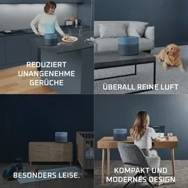 Rowenta Pure Air Mini blau