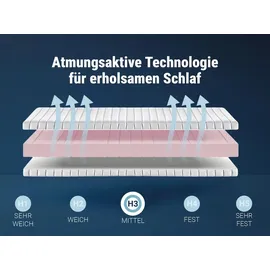 Betten-ABC KSP-1000 140 x 200 cm H2/H3