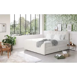 Cotta Boxspringbett COTTA "Fort mit Bettkasten, inkl. Topper", beige (cream), B:161cm L:228cm, 100% POLYESTER (PES), Komplettbetten, Boxspringbett, erhältlich in verschiedenen Breiten (160cm, 180cm & 200cm), Topseller