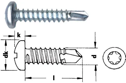 Bohrschraube Linsenkopf mit Torx verzinkt -  4,2 x 38 / 0,31 / 8,2