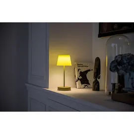 REMEMBER Oscar Fresh Grün