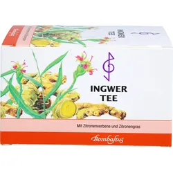 INGWERTEE 20X2 g