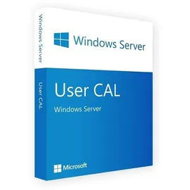 Microsoft Windows Server 2019 Standard 1 CAL ESD DE