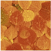 Paper+Design HOME FASHION Papierserviette 20 Servietten Rainy Leaves 33x33cm, (20 St) gelb|orange