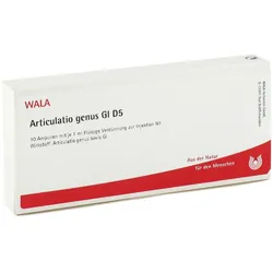 Articulatio Genus Gl D5 Ampullen