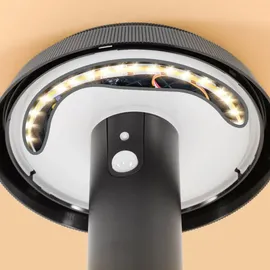 esotec Solar Sensor-Wandleuchte Sophia CCT außen wetterfest EDELSTAHL schwarz 102940 - Schwarz