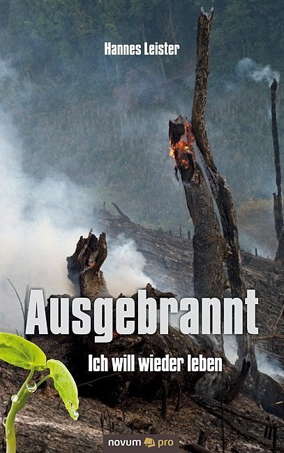 Ausgebrannt - Ich Will Wieder Leben - Hannes Leister  Kartoniert (TB)