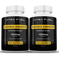Fadogia Agrestis von XTRA FUEL | 240 Kapseln mit 1000 mg je Dosis in laborgeprüfter Apothekenqualität - Fadogia Agrestis mit verifizierten Erfahrungen - in Deutschland laborgeprüft - 240 Stk 240 St