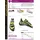 La Sportiva Miura VS - Kletterschuhe, Herren - 34,5