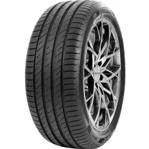 Delinte DS2 205/55 R16 94W