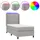 vidaXL Boxspringbett mit Matratze & LED Hellgrau 100x200 cm Stoff