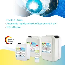 Bayzid Bayzid® pH Plus flüssig