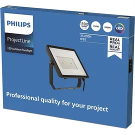 Philips Außenleuchte Glas Metall 29,9 cm IP65 13500 lm schwarz