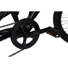 WYLD Kinder-Mountainbike Fully 20'' Zodiac 6 Gänge RH 31 cm
