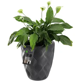 Kadax 39 x 42 cm Anthrazit