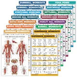 16-teiliges Trainingsposter-Set: Hantel, Aufhängung, Kugelhantel, Bänder, Medizinball, Kampfseil, Stretching, Körpergewicht, Langhantel, Yoga, Gymnastikball (Papier – nicht laminiert, 45.7x61 cm) cm)