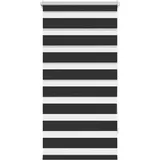 vidaXL Doppelrollo 60 x 120 cm schwarz