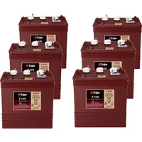 Trojan Ersatzakku für Zefer Arbeitsbühne ZLS-19n 36V Akku -