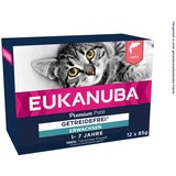 Eukanuba Katzenfutter nass getreidefrei - Premium Nassfutter mit viel Lachs für ausgewachsene Katzen, 12 x 85 g