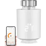 Echos Eco-4160 Zigbee Heizkörperthermostat Amazon Alexa & Google Assistant Kompatibel