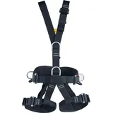 Singing Rock TECHNIC Standard