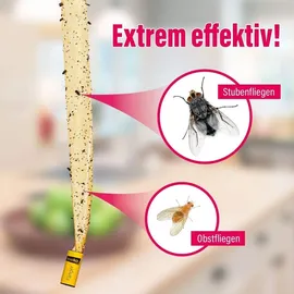 inseko Fliegenfalle Premium 16 St.