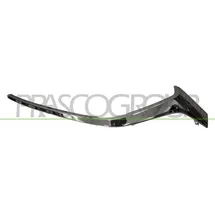 PRASCO Zier-/Schutzleiste, Kühlergitter MZ3102204