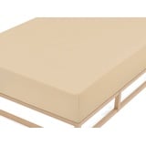 Biberna Spannbettlaken 0002744 Feinbiber 180 x 200 - 200 x 200 cm beige