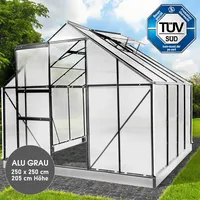 Brast Aluminium-Gewächshaus 250x250x205 anthrazit