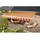 Spettmann Gelenkarmmarkise BASIS 250 x 200 cm orange