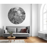 KOMAR Fototapete Schwarz, Weiß, Bäume, 125x125 cm