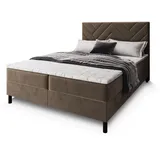 masseno Rokis 140 x 200 cm H2 Beige