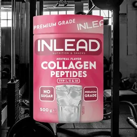 INLEAD Collagen Peptides Pulver 500 g