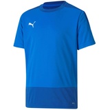 Puma teamGOAL 23 Training Jersey Jr T-shirt, Electric Blue Lemonade-Team Power Blue, 116