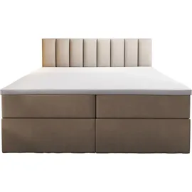 Trada Palermo Boxspringbett 140x200 mit Bettkästen H3 Matratze Hellbeige - Trada