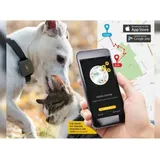 Mr.Safe - GPS-Tracker Hund oder Katze - Hunde-Tracker - GPS-Tracker - mit App Wifi/GPS/LBS Haustier-Tracker