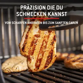 Weber Spirit E-325 GBS schwarz 1500895