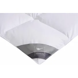 Haeussling Daunenbettdecke HAEUSSLING "Königstraum - First Class", weiß, B:155cm L:220cm, Füllung: 90% Daunen, 10% Federn, Bettdecken, Hohenstein geprüft