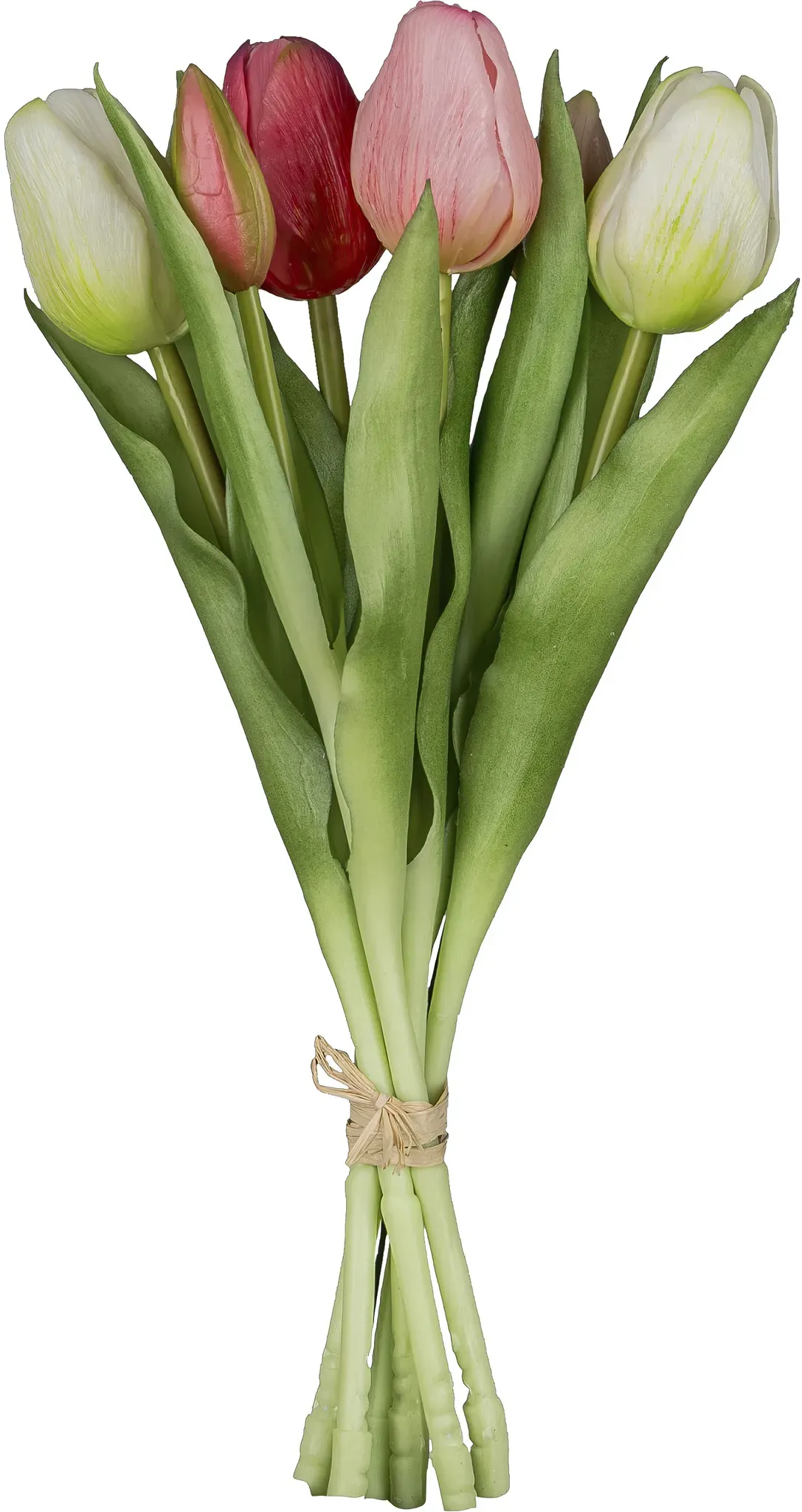 Kunsttulpe CREATIV GREEN 