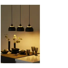 Trio Reality Pendelleuchte Punch 3-flammig Schwarz matt