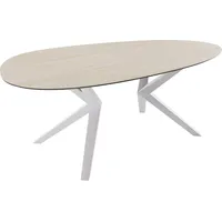 DeLife Esstisch Edge Oval 220x120 Keramik Laminam®Travertino Bianco Creme-Weiß?