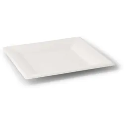 BIOZOYG 500 Stück Einwegteller quadratisch 26x26cm Bio Geschirr Zuckerrohr Teller stabil biologisch abbaubar kompostierbar Bagasse Einwegteller