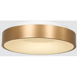 Steinhauer Ringlede, Ø 30 cm LED-Wand- und Deckenleuchte-Gold-mit LED 2700K