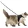 Trixie Softgeschirr mit Leine 36–54 cm schwarz
