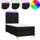 vidaXL Boxspringbett 100 x 200 cm Schwarz